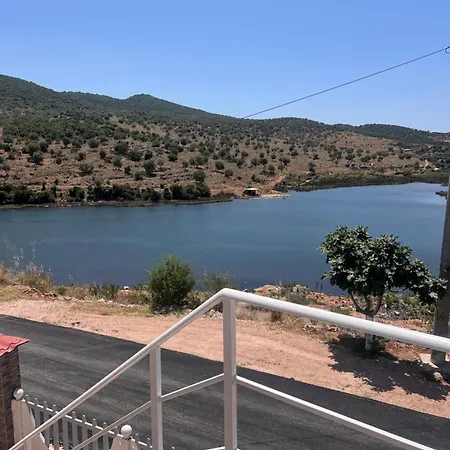 Flavin 1 كساميل