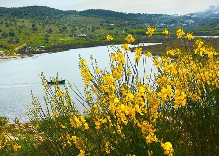 Flavin 1 Appartamento