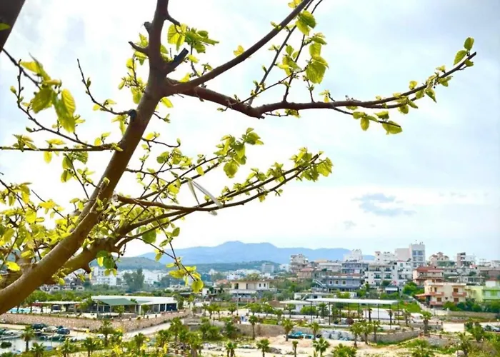 Flavin 1 Appartamento *